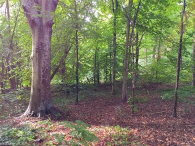 428 Westchester Rd, Statesville, NC 28625 - photo 6