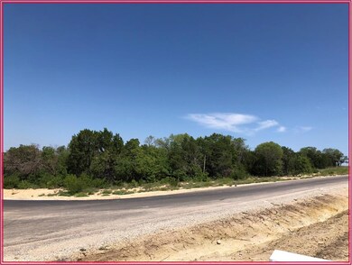 256 Eagles Ridge Ct, Weatherford, TX 76087 - photo 7