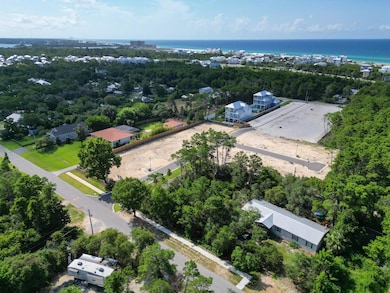 TBD Walton Palm Rd, Inlet Beach, FL 32461 - photo 4