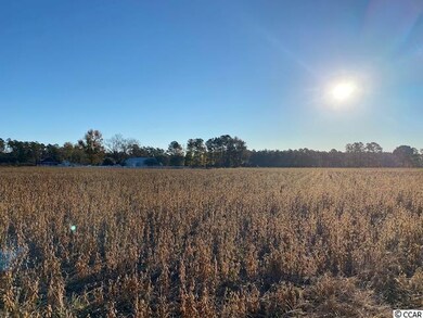 27.9 Acs Highway 65, Conway, SC 29526 - photo 3