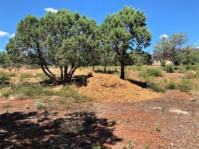 1102 N Earhart Pkwy, Payson, AZ 85541 - photo 5