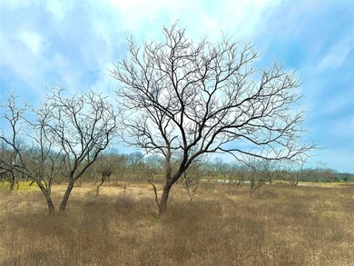 TBD Tract 3 Gin Rd, Ennis, TX 75119 - photo 4