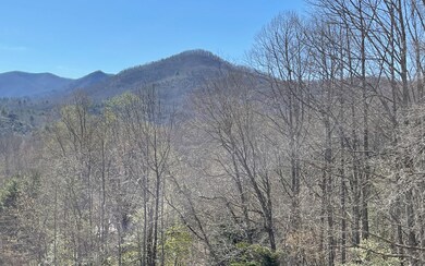 Additional View