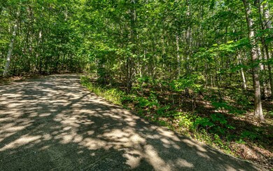 L11 Mattie Ln, Blairsville, GA 30512 - photo 5