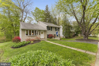 904 Lewis Ln, Bryn Mawr, PA 19010 - photo 2