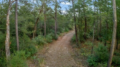 17453 Shop Branch Rd, Huntington, TX 75949 - photo 7