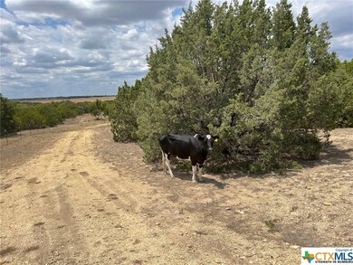 1352 Kirk Dr, Copperas Cove, TX 76522 - photo 5