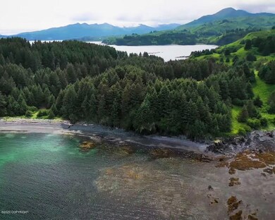 L1 Black Rock-Cliff Point Estates, Kodiak, AK 99615 - photo 4