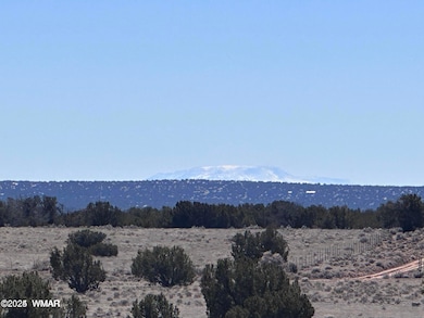 004P N7204, St. Johns, AZ 85936 - photo 6