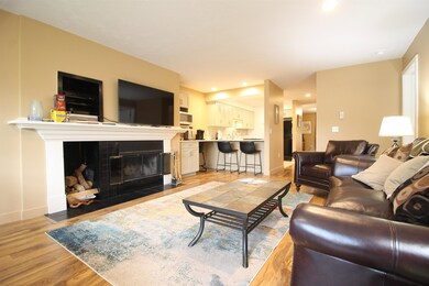 6 Bear Brook Ln unit 1, Waterville Valley, NH 03215 - photo 4