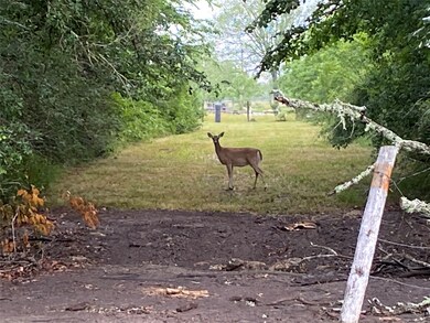 0 Clifford St County Road 137 unit 37933508, Alvin, TX 77511 - photo 4