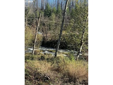 91241 Blue River Rd, Blue River, OR 97413 - photo 4