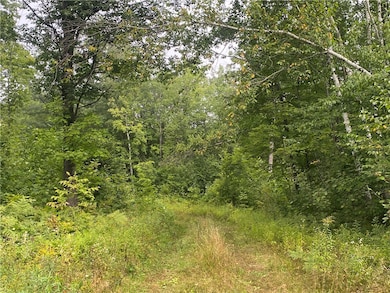 ON W Zettel Rd, Exeland, WI 54835 - photo 4