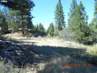 0 Gardner Ranch Ln, Canyon City, OR 97820 - photo 4