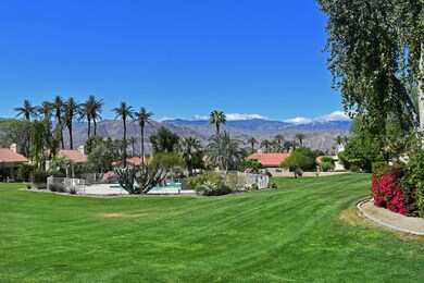 Backyard Views
