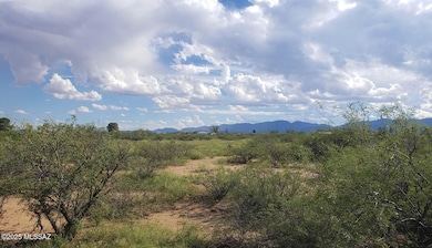 1XX E Kaibab Way unit 469, Cochise, AZ 85606 - photo 2