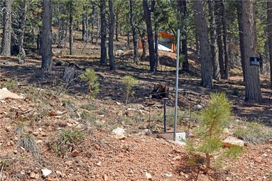 View of undeveloped land