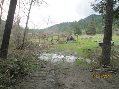 pasture