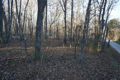 0 Alsobrook Trees