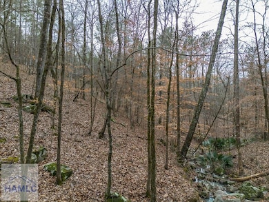 0 Dennis Creek Rd unit 158990, Talbotton, GA 31827 - photo 4