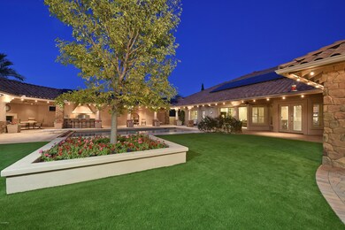 Backyard 6
