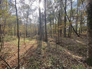 TBD Driftwood, Jefferson, TX 75657 - photo 6