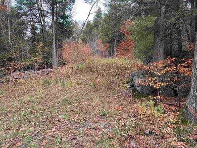 102 Colburn Farm Rd, Newbury, NH 03255 - photo 3