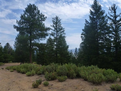 0000 S Kidder Creek Rd, Greenview, CA 96037 - photo 7