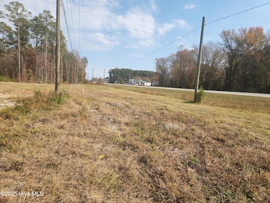 22 Acres Doctor Martin Luther King Junior Blvd, New Bern, NC 28562 - photo 5
