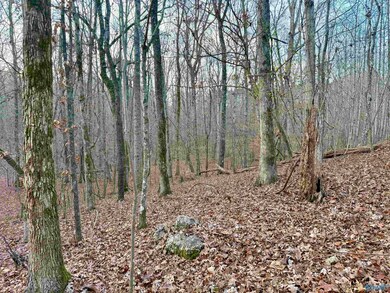 3 County Road 137 unit 504549, Cedar Bluff, AL 35959 - photo 6