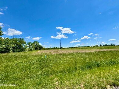 IMG_3549