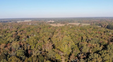 5302 Bend Rd, Vaughan, MS 39179 - photo 4