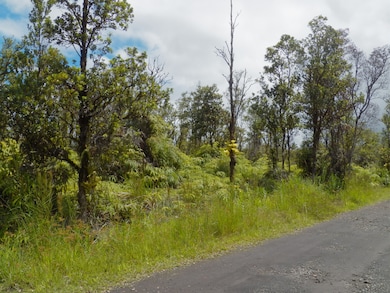 0 Naia St unit 723719, Mountain View, HI 96771 - photo 3