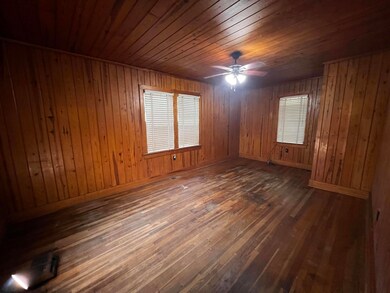 Unfurnished room with ceiling fan, a wealth of nat