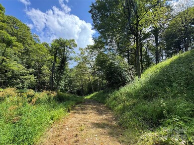 TBD Wyeth Dr unit 11, Blowing Rock, NC 28605 - photo 5