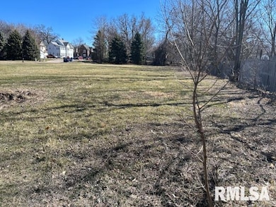 238 12th Ave, Moline, IL 61265 - photo 4