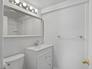 Hammond Park Condominiums unit 107, Chestnut Hill, MA 02467 - photo 7