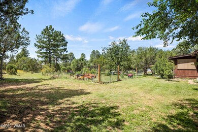 910 S 11th St, Show Low, AZ 85901 - photo 4