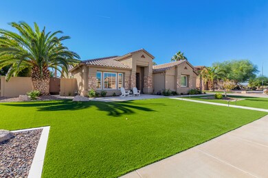 Front Yard
