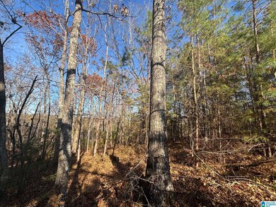 0 Smith Ln, Talladega, AL 35160 - photo 5