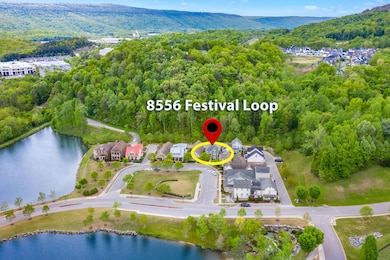 8556_Festival_Loop_006