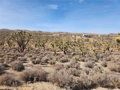 0000 N Tamarisk & Rainbow, Meadview, AZ 86444 - photo 5