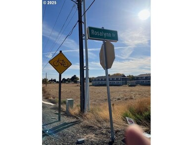 0 Hwy 395 unit 768426041, Stanfield, OR 97875 - photo 4