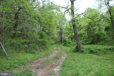 0 Chestnut Run Ln unit VARP107578, Sperryville, VA 22740 - photo 3