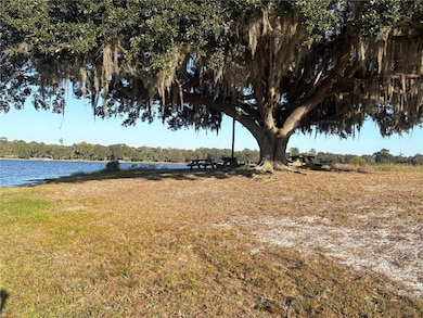 TBD NE 132 St, Salt Springs, FL 32134 - photo 4