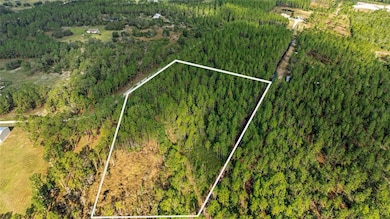 1 Wild Cur Rd, Pierson, FL 32180 - photo 2