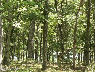 Lot 118 Eagle Path, Lehman Township, PA 18324 - photo 4