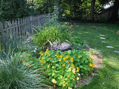 Back yard 2