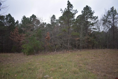 010-11219-038 Swiss Alps Ln, Briarcliff, AR 72653 - photo 6