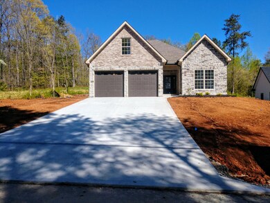 103 Doya Ln, Loudon, TN 37774 - photo 3